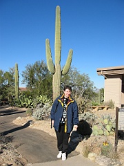 116 Saguaro National Park